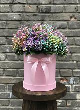Цветочная композиция из Гипсофила и Розы в шляпной коробке в Белокурихе