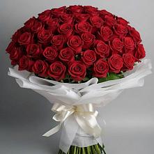 Букет 101 Красная роза Блэк Мэджик в Белокурихе