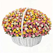 Премиум букет из: Розы в Белокурихе