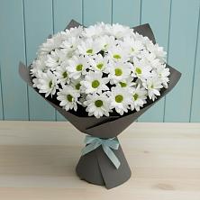 Букет цветов из:  Хризантемы в Белокурихе