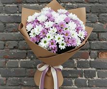 Букет цветов из:  Хризантемы в Белокурихе