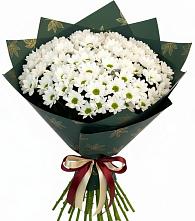 Букет цветов из:  Хризантемы в Белокурихе