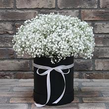 Цветочная композиция из Гипсофила в шляпной коробке #REPLACE_PRED# Белокурихе