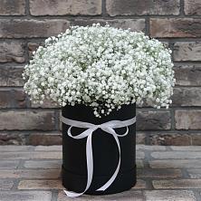 Цветочная композиция из Гипсофила в шляпной коробке в Белокурихе