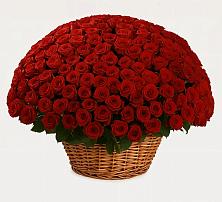 Премиум букет из: Розы в Белокурихе